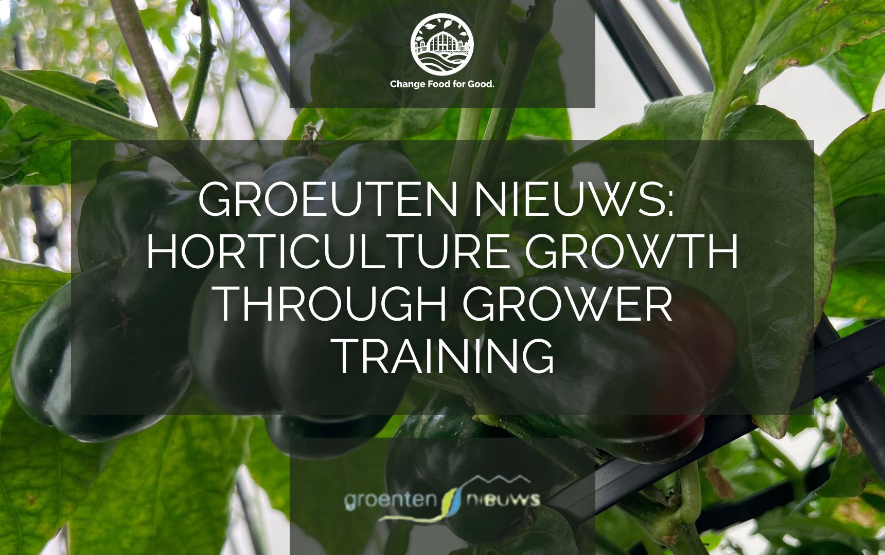 groeuten-news