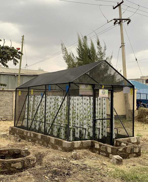 A greenhouse with NFT Hydroponic systems inside