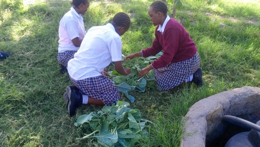 A group of girls sorting out picked crops on the ground